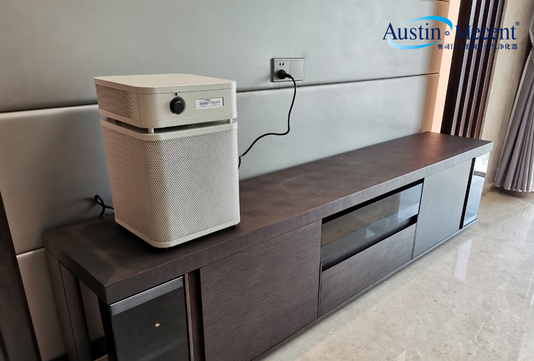 室內(nèi)裝飾建議用地毯嗎？環(huán)保材料是無甲醛嗎？